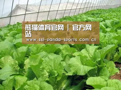 种植基地一