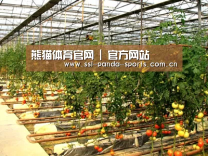 种植基地二