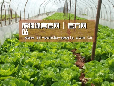 种植基地五