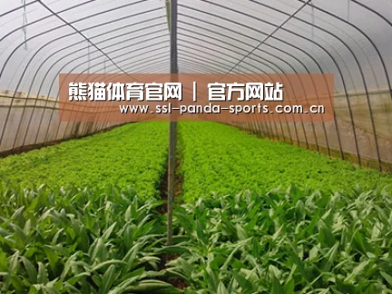 种植基地四