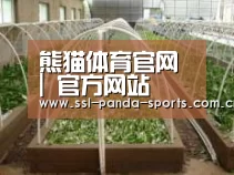环境展示五